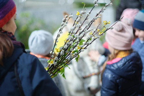 Erzdiözese Wien/ Feuchtner